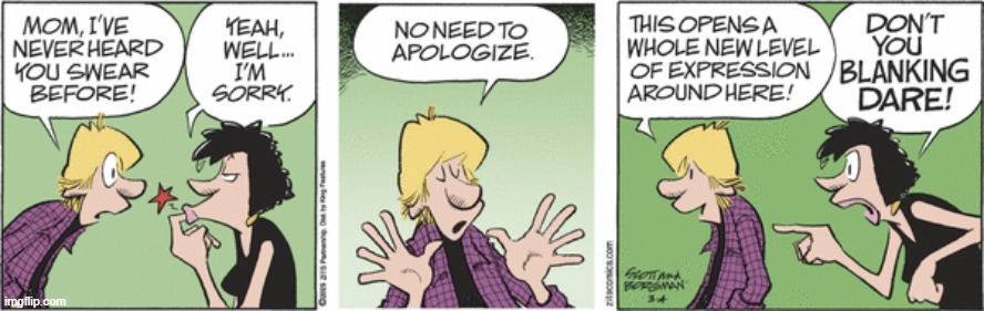 Zits | image tagged in comics | made w/ Imgflip meme maker