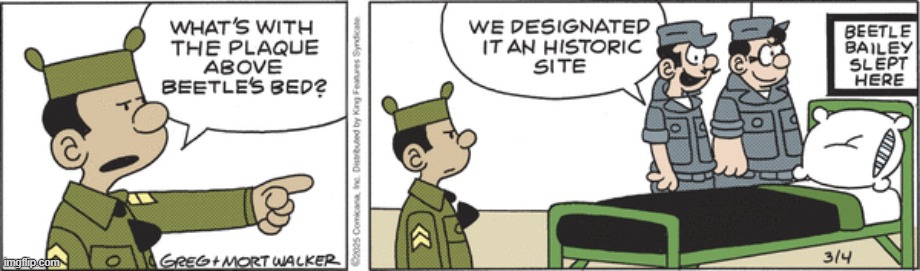 Beetle Bailey | image tagged in comics | made w/ Imgflip meme maker