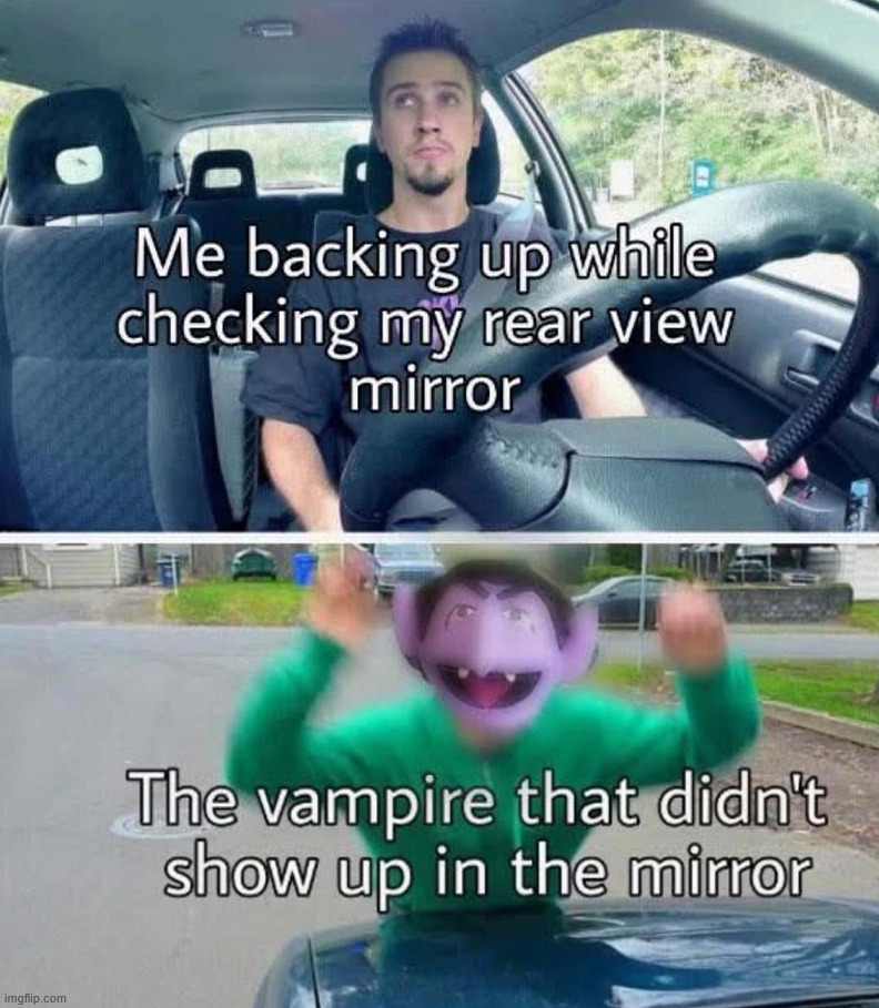How many vampires have you run over? | image tagged in backing | made w/ Imgflip meme maker