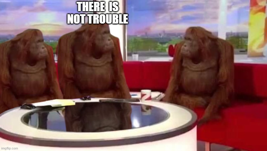 THERE  IS NOT TROUBLE | image tagged in where monkey | made w/ Imgflip meme maker