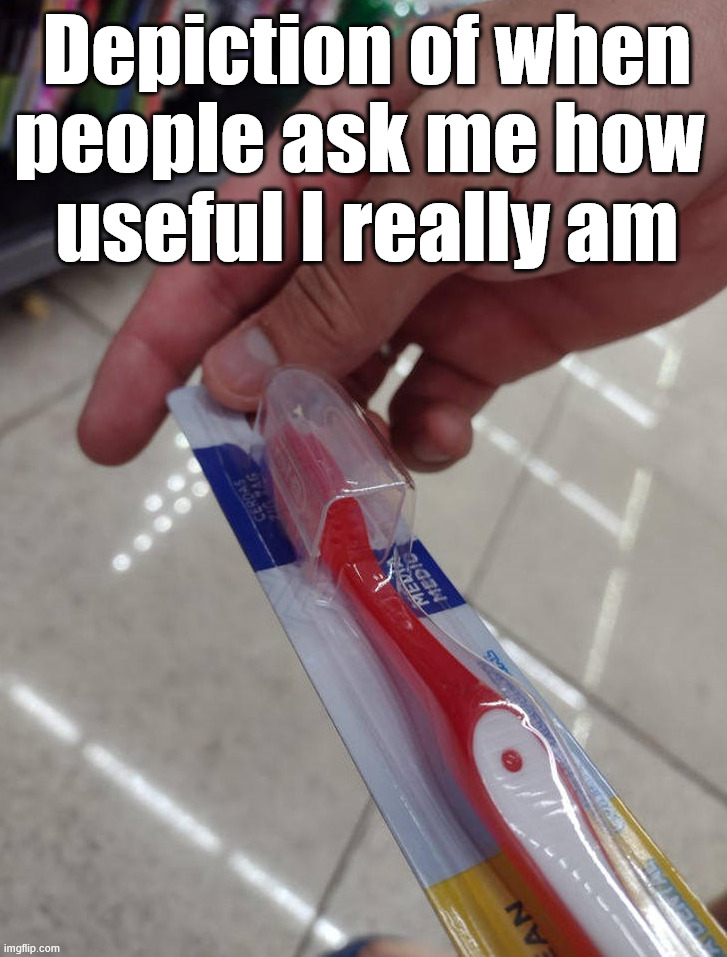 Not that useful | Depiction of when people ask me how 
useful I really am | image tagged in useful,toothbrush,bristles,missing something | made w/ Imgflip meme maker