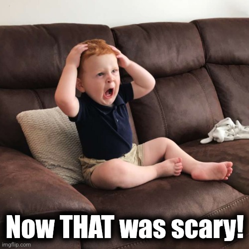 Terrified Toddler | Now THAT was scary! | image tagged in terrified toddler | made w/ Imgflip meme maker