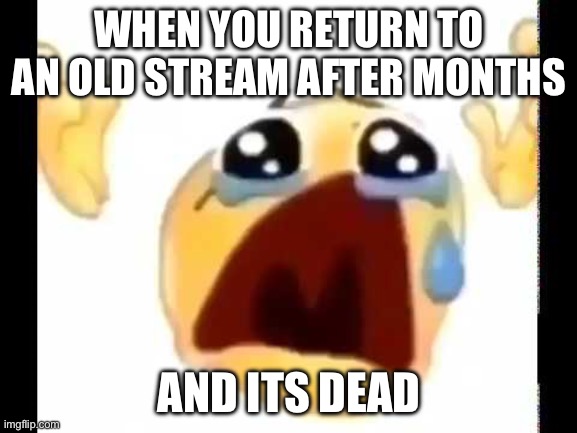 Very sad :( | WHEN YOU RETURN TO AN OLD STREAM AFTER MONTHS; AND ITS DEAD | image tagged in cursed crying emoji | made w/ Imgflip meme maker