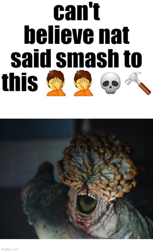 Can’t believe nat said smash to this | image tagged in can t believe nat said smash to this | made w/ Imgflip meme maker