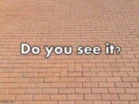 Do you see it? | made w/ Imgflip meme maker