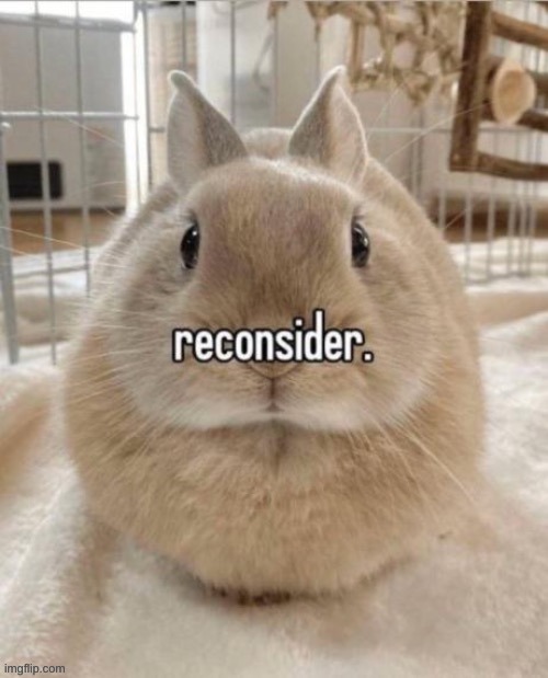 reconsider | image tagged in reconsider | made w/ Imgflip meme maker