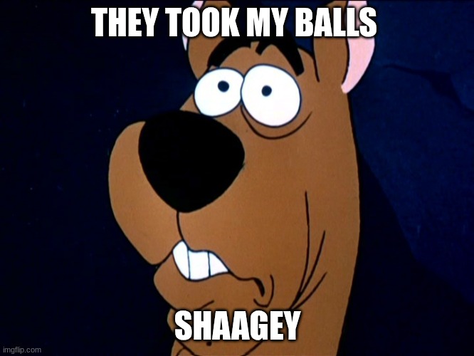 ScoobyDoo | THEY TOOK MY BALLS; SHAAGEY | image tagged in scoobydoo | made w/ Imgflip meme maker