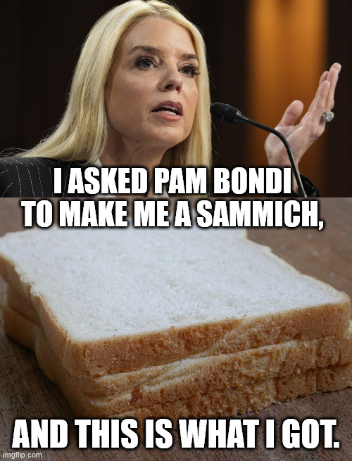 Women's day might be over, but failure is forever. | I ASKED PAM BONDI TO MAKE ME A SAMMICH, AND THIS IS WHAT I GOT. | image tagged in pam bondi dog ate my homework,bread sandwhich,pam bondi,sammich fail,no substance | made w/ Imgflip meme maker