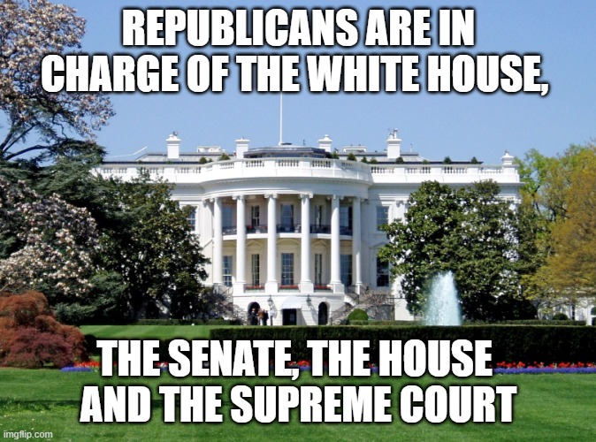 2025 | REPUBLICANS ARE IN CHARGE OF THE WHITE HOUSE, THE SENATE, THE HOUSE 
AND THE SUPREME COURT | image tagged in white house | made w/ Imgflip meme maker