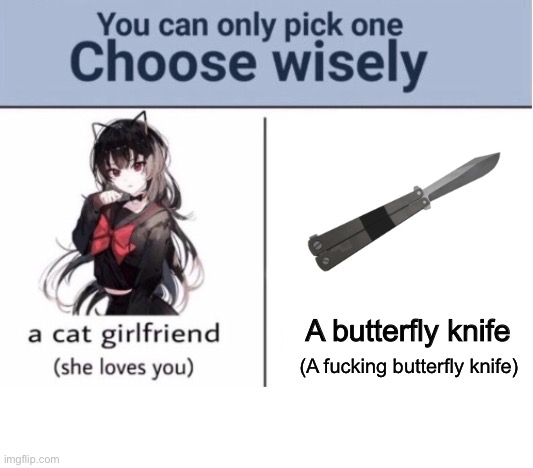 Choose wisely | A butterfly knife; (A fucking butterfly knife) | image tagged in choose wisely,msmg | made w/ Imgflip meme maker