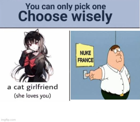 Choose wisely | image tagged in choose wisely | made w/ Imgflip meme maker