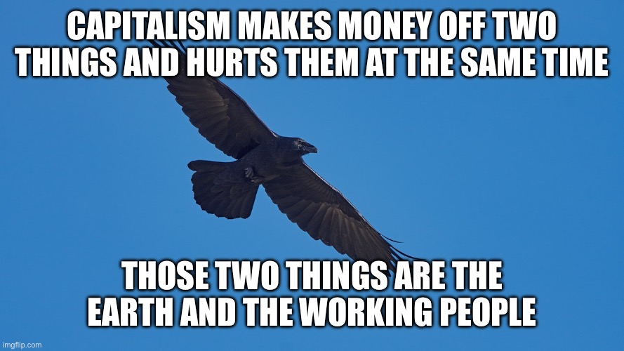 Capitalism is bad | CAPITALISM MAKES MONEY OFF TWO THINGS AND HURTS THEM AT THE SAME TIME; THOSE TWO THINGS ARE THE EARTH AND THE WORKING PEOPLE | image tagged in socialist freedom raven,capitalism | made w/ Imgflip meme maker