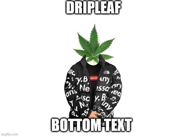 image title | DRIPLEAF; BOTTOM TEXT | image tagged in minecraft,minecraft memes | made w/ Imgflip meme maker