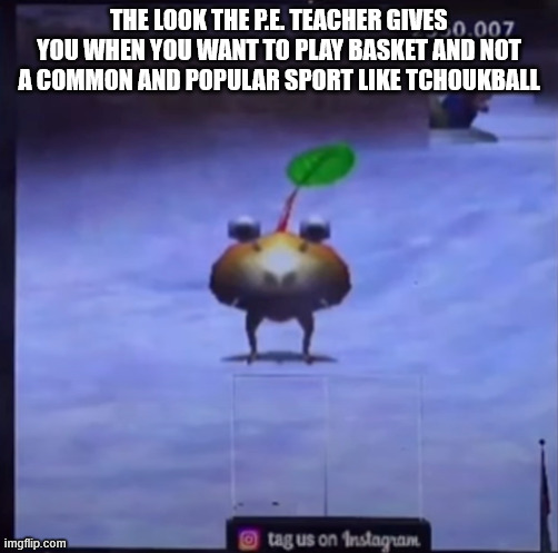 Bulbmin | THE LOOK THE P.E. TEACHER GIVES YOU WHEN YOU WANT TO PLAY BASKET AND NOT A COMMON AND POPULAR SPORT LIKE TCHOUKBALL | image tagged in bulbmin | made w/ Imgflip meme maker