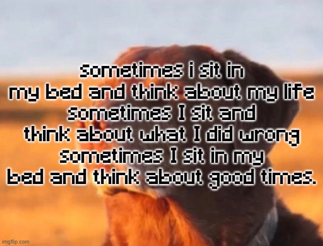 Dog accepting fate | sometimes i sit in my bed and think about my life
sometimes I sit and think about what I did wrong
sometimes I sit in my bed and think about good times. | image tagged in dog accepting fate | made w/ Imgflip meme maker