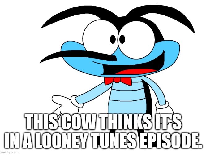 This cow thinks it's in a Looney Tunes episode. | THIS COW THINKS IT'S IN A LOONEY TUNES EPISODE. | image tagged in oggyandthecockroaches,oc,screwy | made w/ Imgflip meme maker