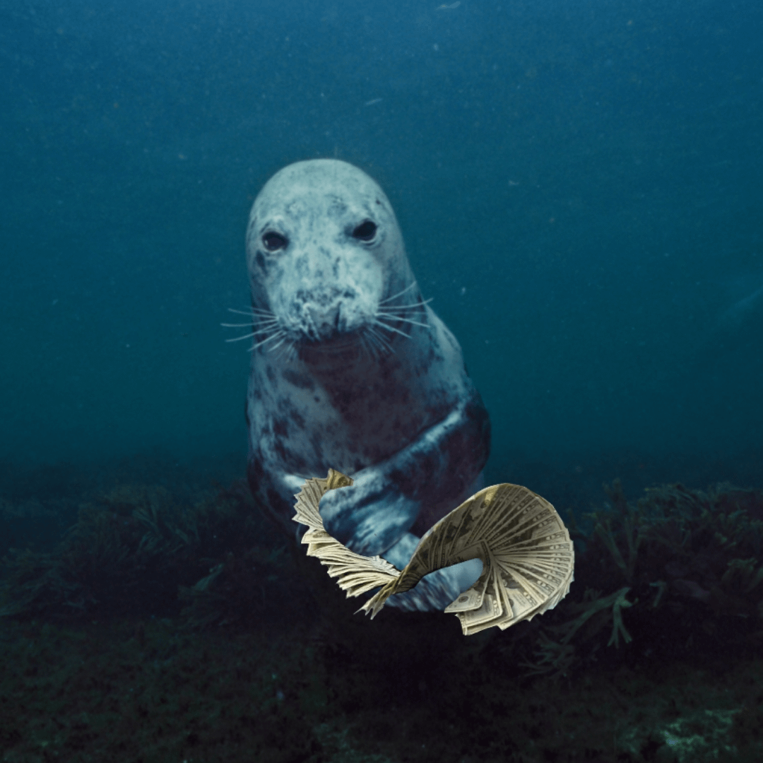 Seal Money Spread Blank Meme Template
