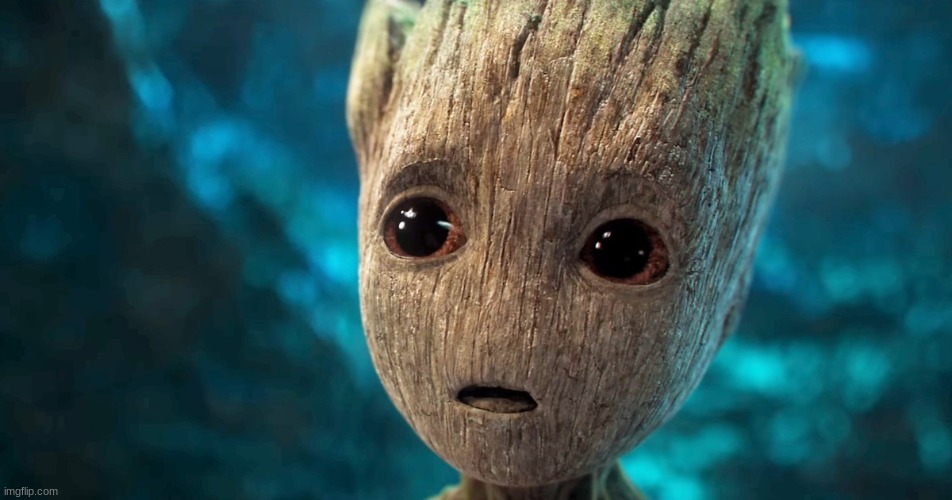 sad baby groot | image tagged in sad baby groot | made w/ Imgflip meme maker