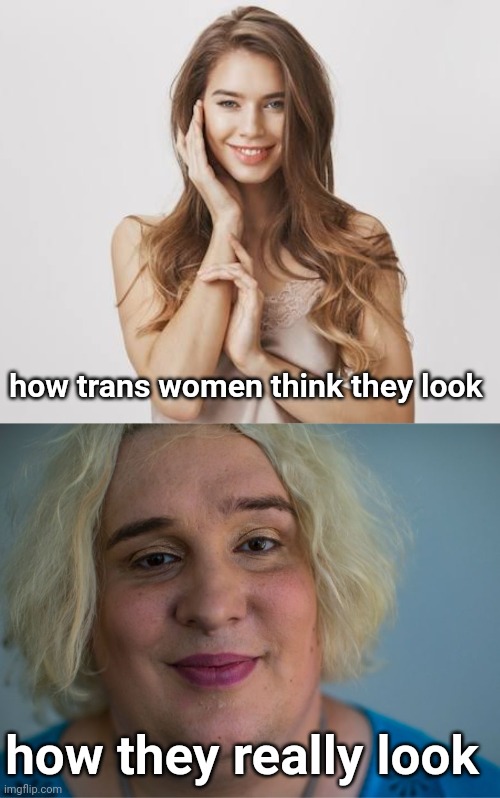 how trans women think they look; how they really look | image tagged in ugly man woman wig transgender | made w/ Imgflip meme maker