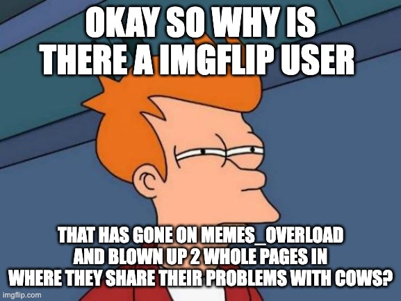 If an Imgflip user has a cow problem, why the heck make 50+ memes about it on Memes_Overload? | OKAY SO WHY IS THERE A IMGFLIP USER; THAT HAS GONE ON MEMES_OVERLOAD AND BLOWN UP 2 WHOLE PAGES IN WHERE THEY SHARE THEIR PROBLEMS WITH COWS? | image tagged in memes,futurama fry | made w/ Imgflip meme maker