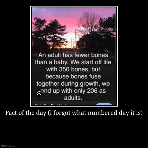 Fact of the day (i forgot what numbered day it is) | | image tagged in funny,demotivationals,fact of the day | made w/ Imgflip demotivational maker