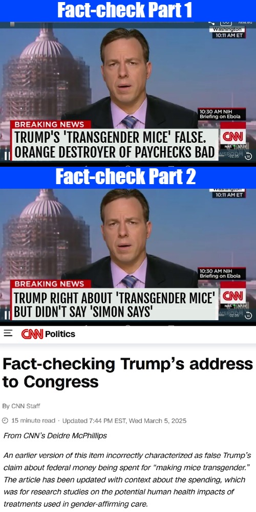 The all-over standard | Fact-check Part 1; TRUMP'S 'TRANSGENDER MICE' FALSE. ORANGE DESTROYER OF PAYCHECKS BAD; Fact-check Part 2 | image tagged in cnn breaking news template,biased media,liberal media,donald trump,fact check | made w/ Imgflip meme maker