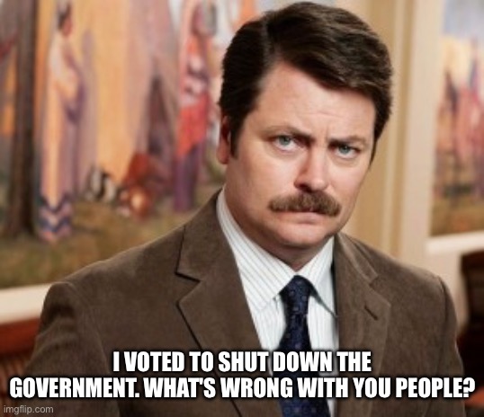 Ron Swanson Meme | I VOTED TO SHUT DOWN THE GOVERNMENT. WHAT'S WRONG WITH YOU PEOPLE? | image tagged in memes,ron swanson | made w/ Imgflip meme maker