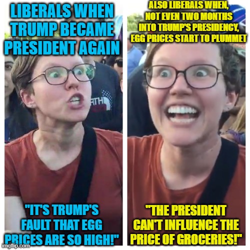 All while ignoring the fact that the prices skyrocketed under Biden. The mental gymnastics of liberals are once again unmatched! | ALSO LIBERALS WHEN, NOT EVEN TWO MONTHS INTO TRUMP'S PRESIDENCY, EGG PRICES START TO PLUMMET; LIBERALS WHEN TRUMP BECAME PRESIDENT AGAIN; "THE PRESIDENT CAN'T INFLUENCE THE PRICE OF GROCERIES!"; "IT'S TRUMP'S FAULT THAT EGG PRICES ARE SO HIGH!" | image tagged in social justice warrior hypocrisy,memes,liberal hypocrisy,liberal logic | made w/ Imgflip meme maker