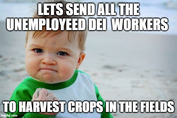 Success Kid Original | LETS SEND ALL THE UNEMPLOYEED DEI  WORKERS; TO HARVEST CROPS IN THE FIELDS | image tagged in memes,success kid original | made w/ Imgflip meme maker