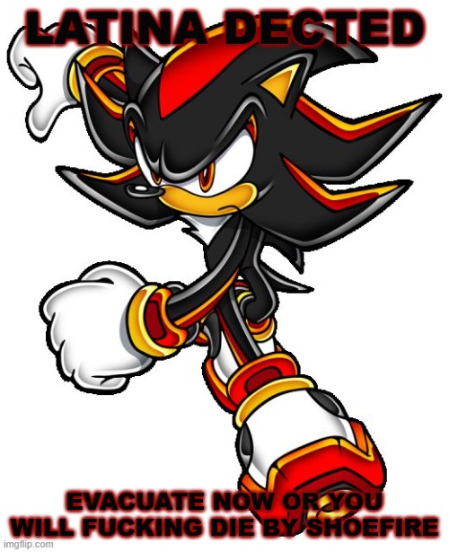 shadow meme | LATINA DECTED; EVACUATE NOW OR YOU WILL FUCKING DIE BY SHOEFIRE | image tagged in shadow the hedgehog | made w/ Imgflip meme maker