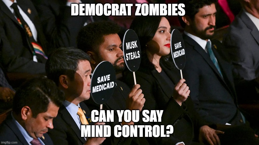 Democrat Zombies | DEMOCRAT ZOMBIES; CAN YOU SAY MIND CONTROL? | image tagged in democrat zombies | made w/ Imgflip meme maker