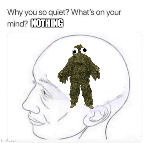 Ghillie suit with googly eyes | NOTHING | image tagged in what's on your mind | made w/ Imgflip meme maker