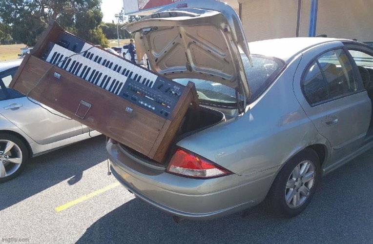 My organ is too big | image tagged in organ trunk | made w/ Imgflip meme maker