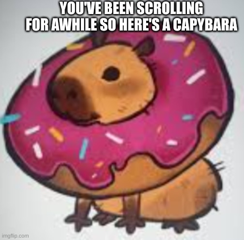 Capybara | YOU'VE BEEN SCROLLING FOR AWHILE SO HERE'S A CAPYBARA | image tagged in capybara,doughnut,funny memes | made w/ Imgflip meme maker