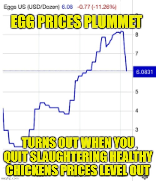 Egg Prices Plummet | EGG PRICES PLUMMET; TURNS OUT WHEN YOU QUIT SLAUGHTERING HEALTHY CHICKENS PRICES LEVEL OUT | image tagged in eggs,maga,inflation,economy,economics,priceless | made w/ Imgflip meme maker