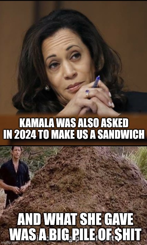 KAMALA WAS ALSO ASKED IN 2024 TO MAKE US A SANDWICH AND WHAT SHE GAVE WAS A BIG PILE OF $HIT | image tagged in kamala harris,that is one big pile of shit | made w/ Imgflip meme maker