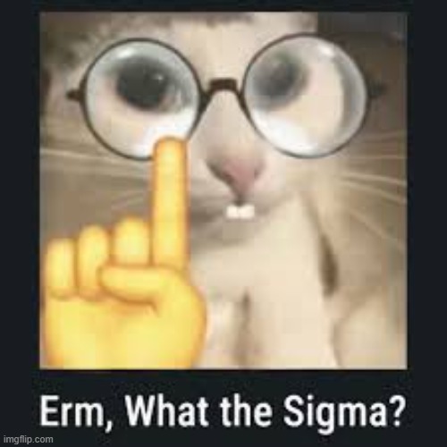 Erm, what the sigma? | image tagged in big bird | made w/ Imgflip meme maker