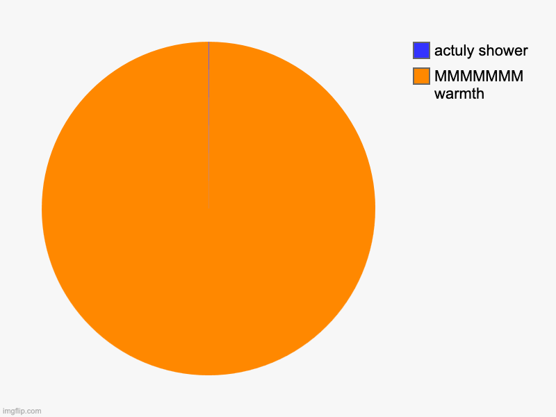 MMMMMMM warmth, actuly shower | image tagged in charts,pie charts | made w/ Imgflip chart maker