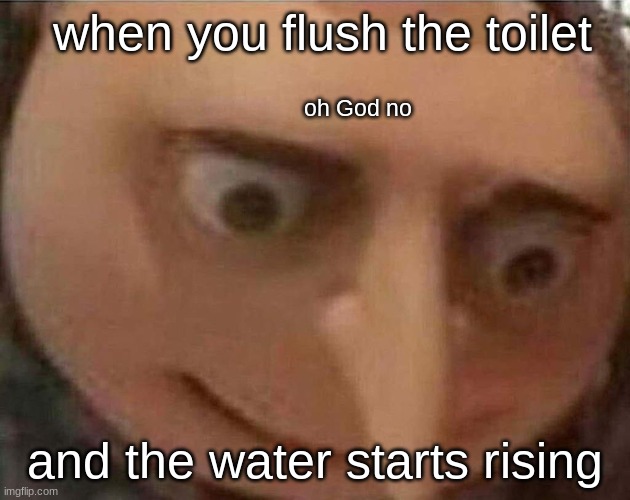 gru meme | when you flush the toilet; oh God no; and the water starts rising | image tagged in gru meme | made w/ Imgflip meme maker