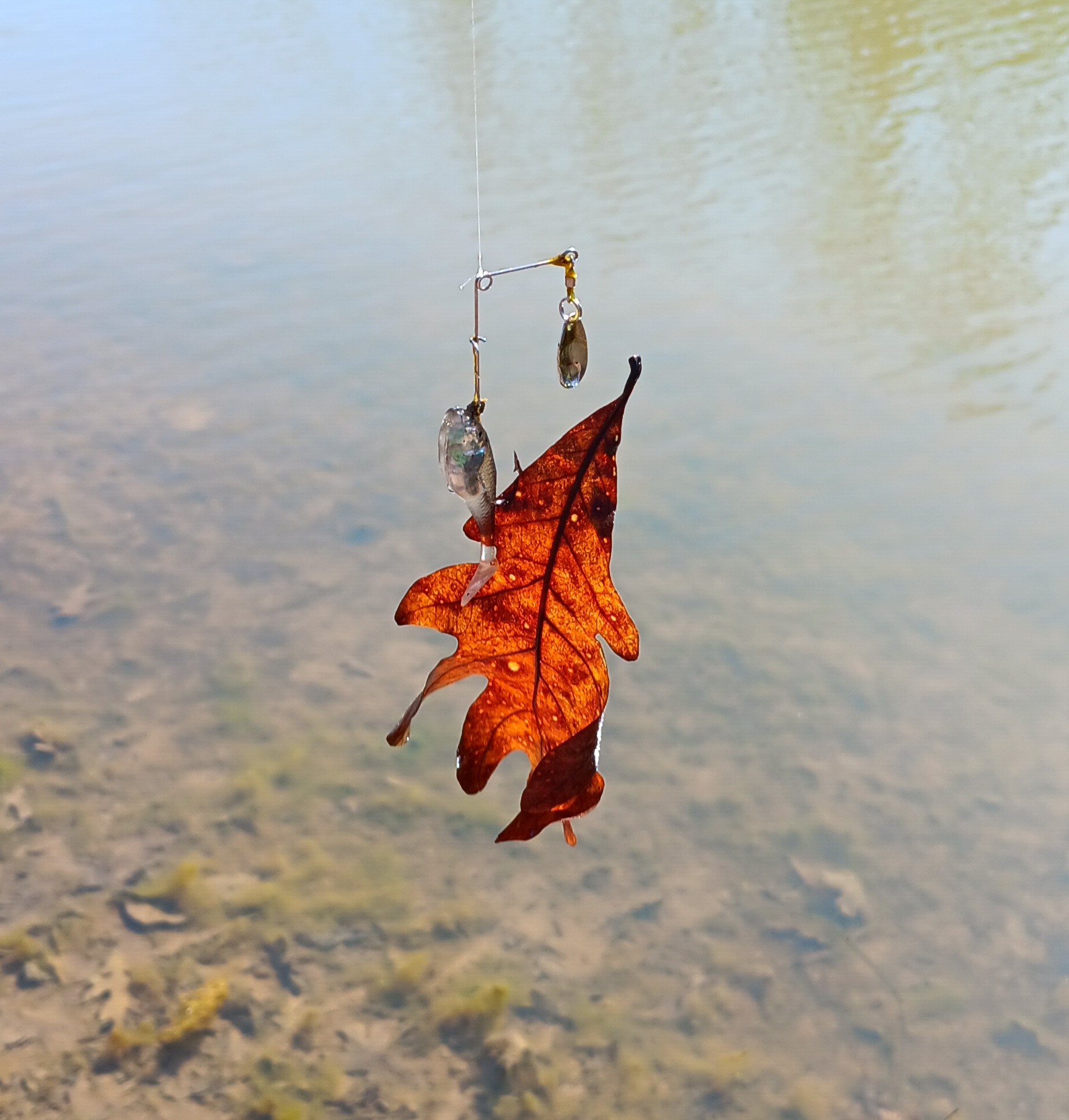 leaf fish Blank Meme Template