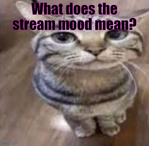 What does the stream mood mean? | made w/ Imgflip meme maker