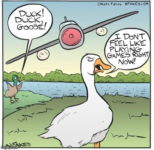 lol | image tagged in funny,duck,goose,comics/cartoons | made w/ Imgflip meme maker