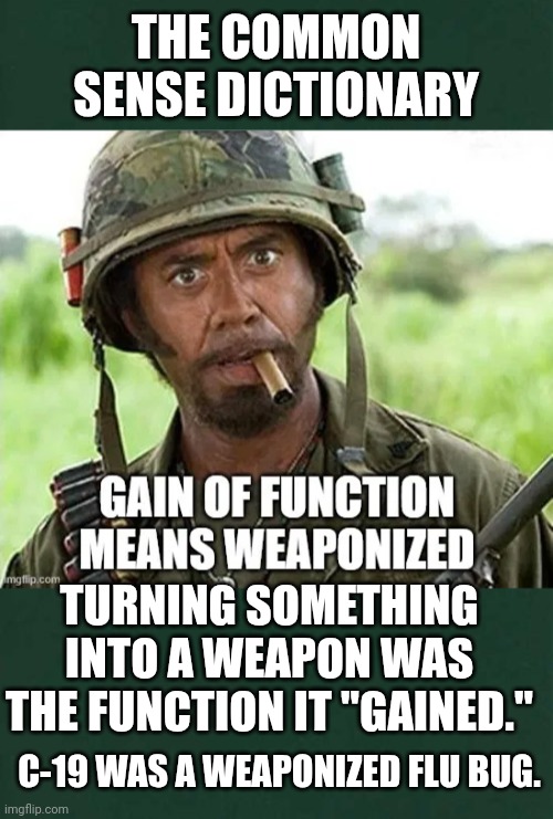 Gain of function means weaponized | THE COMMON SENSE DICTIONARY; TURNING SOMETHING INTO A WEAPON WAS THE FUNCTION IT "GAINED."; C-19 WAS A WEAPONIZED FLU BUG. | image tagged in plain dark green square,weapons,robert downey jr | made w/ Imgflip meme maker