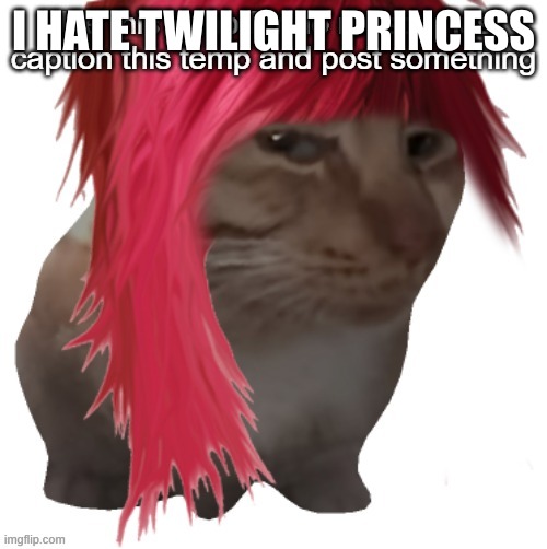 do it | I HATE TWILIGHT PRINCESS | image tagged in i love sonic feet | made w/ Imgflip meme maker