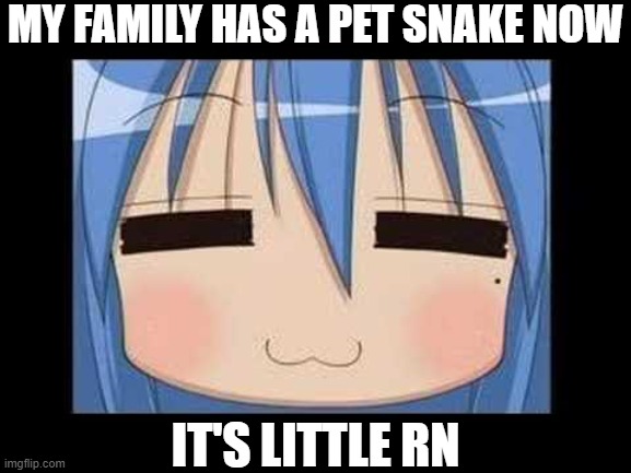 no clue if it's a boy or a girl but at least it's not like 90 feet long or some shit | MY FAMILY HAS A PET SNAKE NOW; IT'S LITTLE RN | image tagged in lucky star konata izumi | made w/ Imgflip meme maker