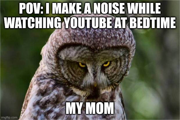 dun dun DUUUUUUN! | POV: I MAKE A NOISE WHILE WATCHING YOUTUBE AT BEDTIME; MY MOM | image tagged in seriously owl | made w/ Imgflip meme maker