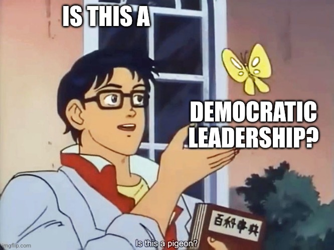 ANIME BUTTERFLY MEME | IS THIS A; DEMOCRATIC LEADERSHIP? | image tagged in anime butterfly meme | made w/ Imgflip meme maker