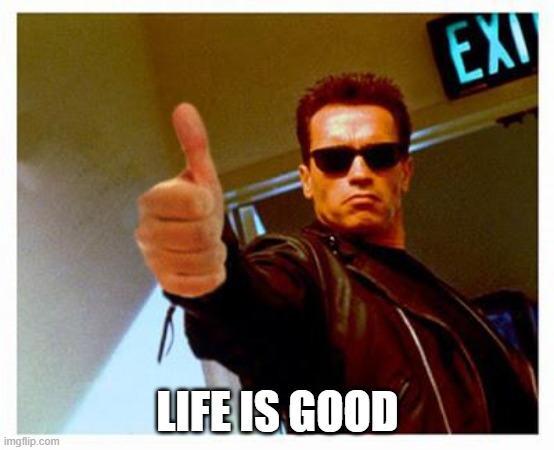 LIFE IS GOOD | image tagged in terminator thumbs up | made w/ Imgflip meme maker