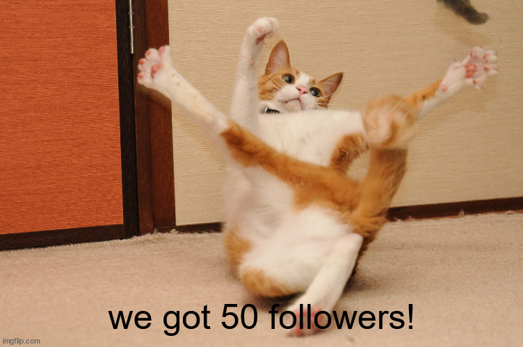 |: | we got 50 followers! | image tagged in twisted cat | made w/ Imgflip meme maker