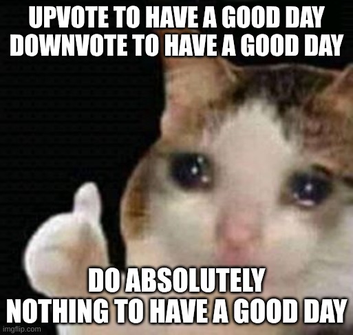 sad thumbs up cat | UPVOTE TO HAVE A GOOD DAY
DOWNVOTE TO HAVE A GOOD DAY; DO ABSOLUTELY NOTHING TO HAVE A GOOD DAY | image tagged in sad thumbs up cat | made w/ Imgflip meme maker